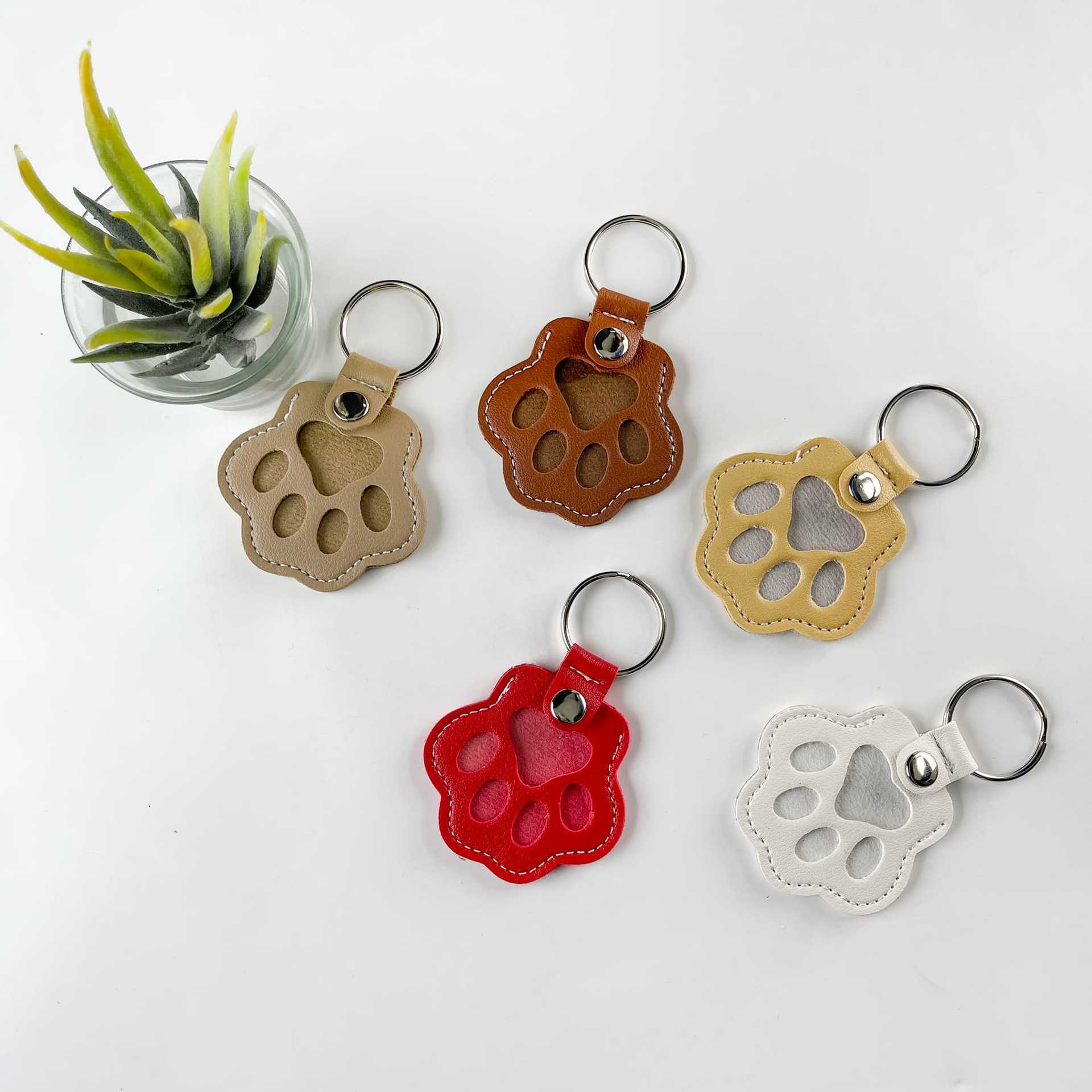 Pet Hair Keepsake Keychain – Paw Print Memorial Fur Holder for Dogs & Cats