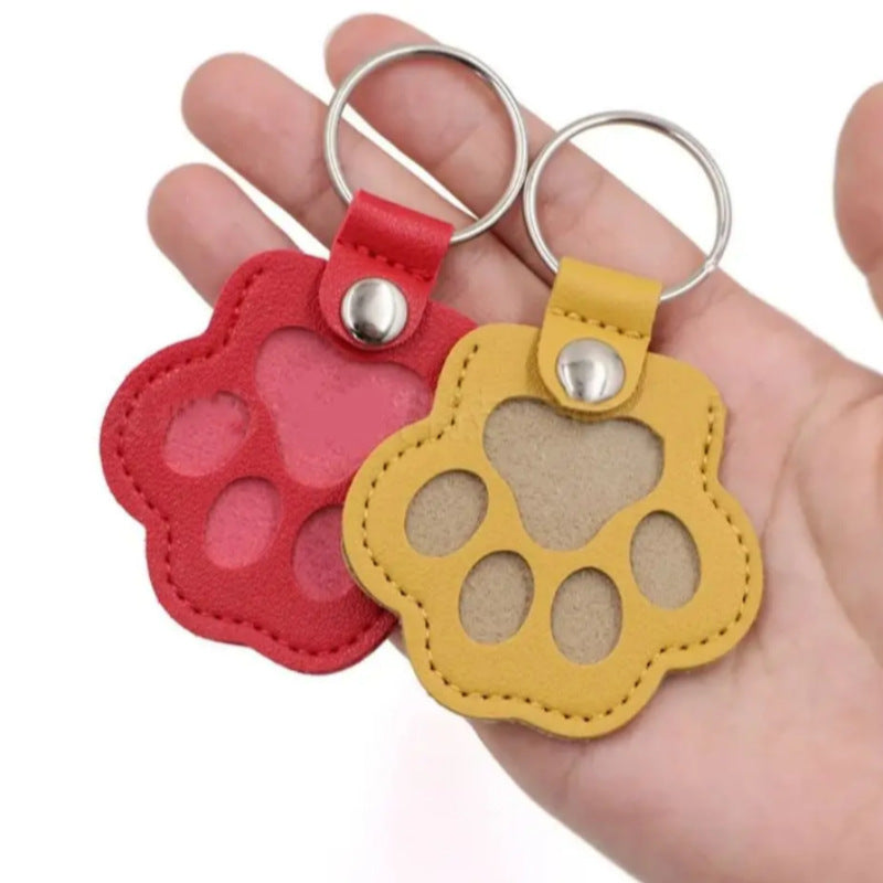 Pet Hair Keepsake Keychain – Paw Print Memorial Fur Holder for Dogs & Cats
